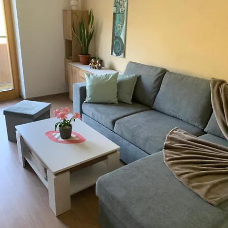 Haus Wassermann 公寓 *